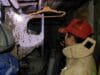 Tawon vespa berukuran jumbo kembali dievakuasi Dinas Pemadam Kebakaran dan Penyelamatan Kota Tangerang Selatan dari rumah warga