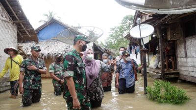 Bupati Pandeglang Irna Narulita berjanji akan mengajukan normalisasi sungai Ciliman dan Cilemer untuk mengatasi banjir di wilayah tersebut.