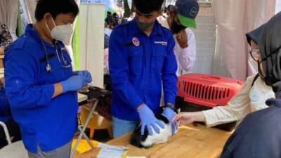 Royal Canin Indonesia dan Zoetis Indonesia mendonasikan 10 ribu dosis vaksin rabies pada peringatan Hari Rabies Sedunia yang diperingati setiap tanggal 28 September.