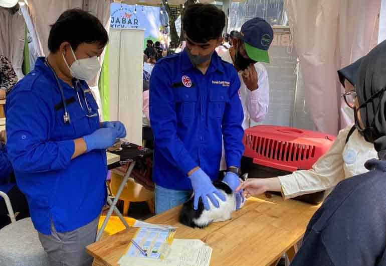 Royal Canin Indonesia dan Zoetis Indonesia mendonasikan 10 ribu dosis vaksin rabies pada peringatan Hari Rabies Sedunia yang diperingati setiap tanggal 28 September.