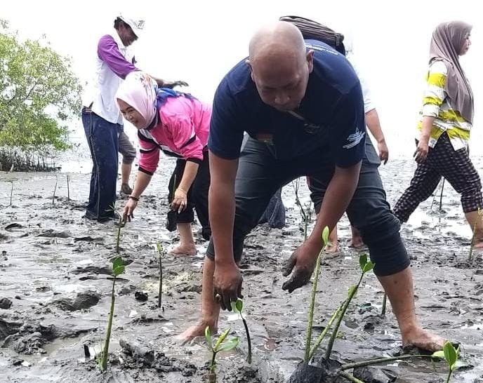 Peduli Lingkungan, PWI Kabupaten Tangerang Tanam 1000 Mangrove di Pesisir Mauk