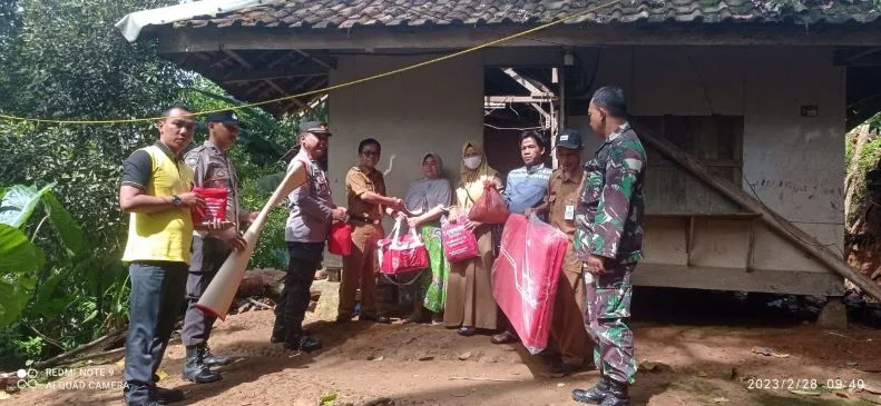 Satu Keluarga di Jiput Nyaris Tertimpa Pohon Tumbang