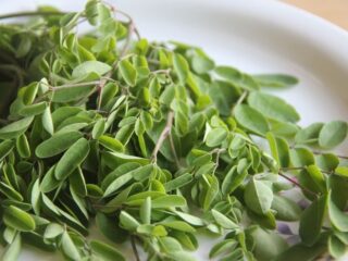 Program Makanan Bergizi Gratis