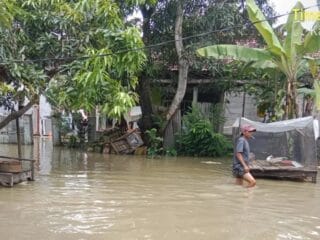 Banjir melanda Sepatan dan Gunung Kaler, Tangerang, merendam pemukiman dan lahan pertanian akibat hujan deras dan drainase kecil.