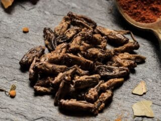 belalang Makan Bergizi Gratis