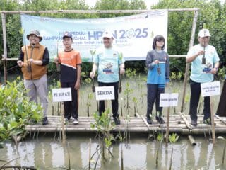 Momen HPSN, Aksi Bersih-Bersih dan Penanaman Mangrove Pemkab Tangerang
