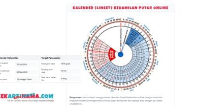 Temukan panduan lengkap tentang usia kehamilan, trimester, dan cara menggunakan kalender kehamilan putar untuk ibu hamil. Baca selengkapnya!