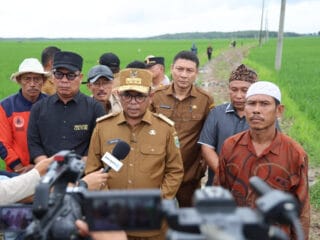 Gubernur Banten, Andra Soni, meninjau lokasi program Jalan Usaha Tani (JUT) di Kecamatan Wanasalam, Kabupaten Lebak.