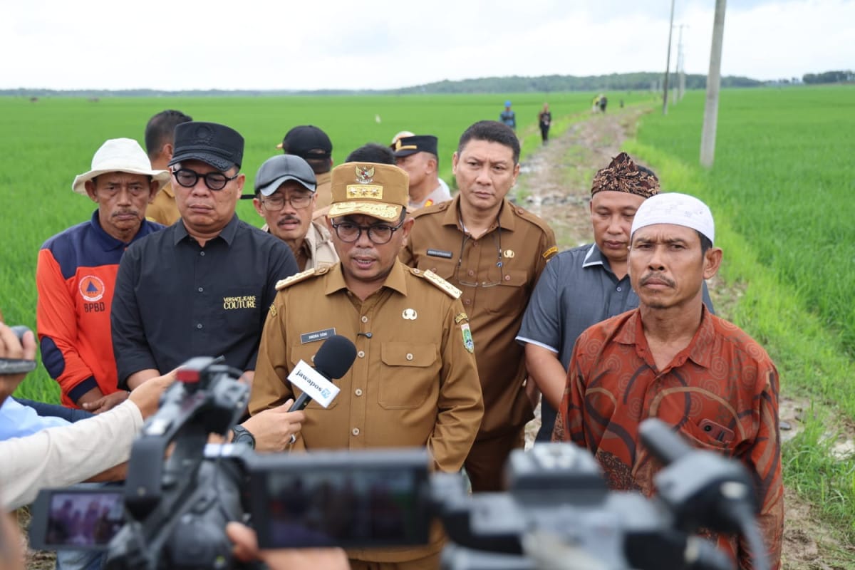 Gubernur Banten, Andra Soni, meninjau lokasi program Jalan Usaha Tani (JUT) di Kecamatan Wanasalam, Kabupaten Lebak.