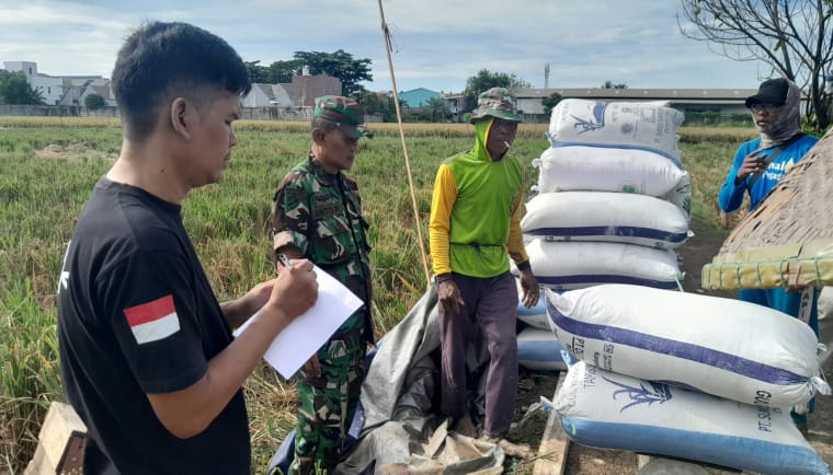 Bulog Cabang Tangerang menyerap 24.700 ton gabah petani pada 2025, mencapai 88,32% dari target 28.000 ton, dengan harga Rp 6.500 per kilogram