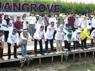 Bupati Tangerang menanam 2.000 pohon mangrove untuk Hari Bumi 2025, mendorong kolaborasi dalam pelestarian lingkungan.