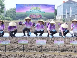 Program Jaga Desa Kejagung dukung swasembada bawang dan cabai di Banten melalui kolaborasi inovatif dan teknologi pertanian modern