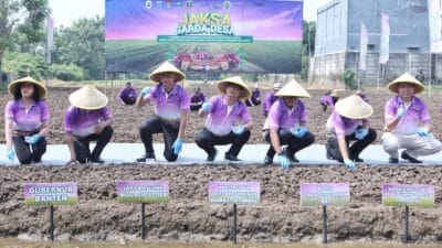 Program Jaga Desa Kejagung dukung swasembada bawang dan cabai di Banten melalui kolaborasi inovatif dan teknologi pertanian modern