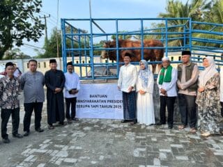 Pemkab Pandeglang menerima sapi kurban dari Presiden Prabowo Subianto. Wabup Iing mengucapkan terima kasih.
