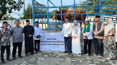 Pemkab Pandeglang menerima sapi kurban dari Presiden Prabowo Subianto. Wabup Iing mengucapkan terima kasih.