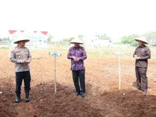 Bupati Tangerang, Moch Maesyal Rasyid, bersama Unsur Forkopimda, melakukan penanaman jagung hibrida di Kampung Batu Tunggul.