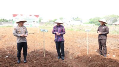 Bupati Tangerang, Moch Maesyal Rasyid, bersama Unsur Forkopimda, melakukan penanaman jagung hibrida di Kampung Batu Tunggul.