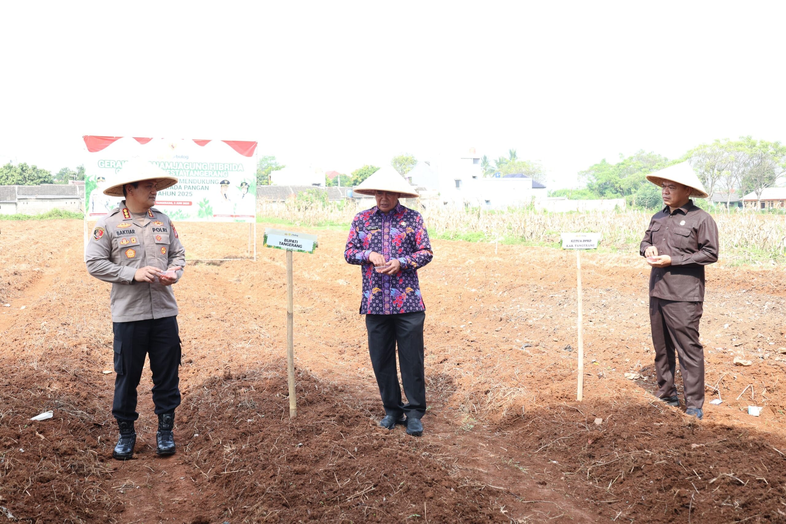 Bupati Tangerang, Moch Maesyal Rasyid, bersama Unsur Forkopimda, melakukan penanaman jagung hibrida di Kampung Batu Tunggul.