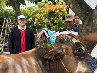 Abraham Garuda Laksono berkurban satu ekor sapi dalam perayaan Idul Adha 2025 di Padepokan Kebangsaan Karang Tumaritis.
