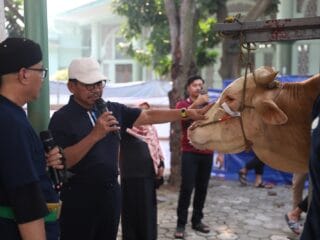 Iduladha 1446 Hijriah di Masjid Raya Al-A’zhom, Kota Tangerang, dengan penyembelihan hewan kurban dan distribusi 5.000 paket daging.