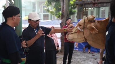 Iduladha 1446 Hijriah di Masjid Raya Al-A’zhom, Kota Tangerang, dengan penyembelihan hewan kurban dan distribusi 5.000 paket daging.