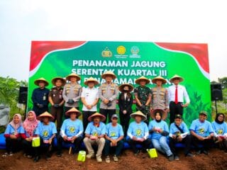 Pilar Saga bersama Polda Metro Jaya tanam jagung serentak di Tangsel, dorong ketahanan pangan lewat program RW Mantap dan eduwisata.