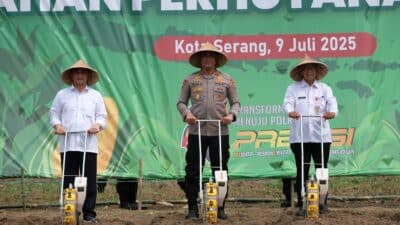 Polda Banten tanam jagung serentak kuartal III di lahan perhutanan sosial, dukung ketahanan pangan bersama Pemprov dan masyarakat.