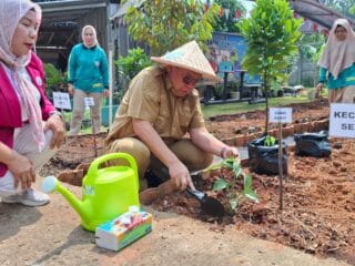 Benyamin Davnie Dorong Warga Tangsel Tanam Cabai, Upaya Redam Inflasi Pangan