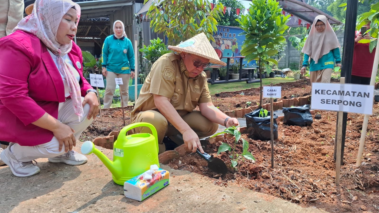 Pemkot Tangsel galakkan gerakan tanam cabai dan terong untuk jaga ketahanan pangan serta tekan inflasi harga kebutuhan pokok.