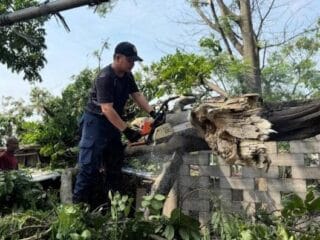 BPBD Kota Tangerang tangani banjir dan pohon tumbang akibat hujan deras. Kondisi kini berangsur pulih, warga kembali beraktivitas.