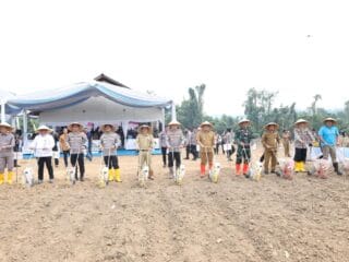 Polda Banten tanam jagung serentak 724 hektar di Lebak guna perkuat ketahanan pangan nasional dan optimalkan lahan produktif.