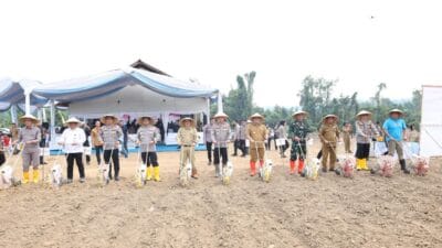 Polda Banten tanam jagung serentak 724 hektar di Lebak guna perkuat ketahanan pangan nasional dan optimalkan lahan produktif.