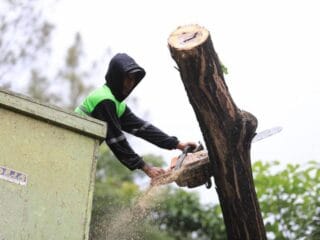Si GAMPANG, inovasi digital Kota Tangerang untuk pantau pohon, klaim asuransi, dan mitigasi risiko tumbang.