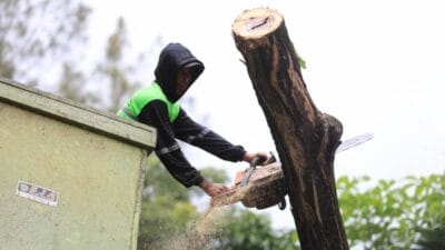 Si GAMPANG, inovasi digital Kota Tangerang untuk pantau pohon, klaim asuransi, dan mitigasi risiko tumbang.