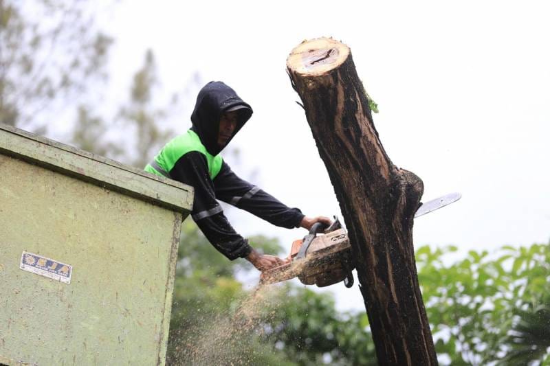 Si GAMPANG, inovasi digital Kota Tangerang untuk pantau pohon, klaim asuransi, dan mitigasi risiko tumbang.