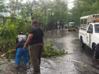 Hujan deras disertai angin kencang di Kota Tangerang sebabkan pohon tumbang di tiga kecamatan, rusak kendaraan, dan ganggu lalu lintas.