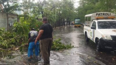 Hujan deras disertai angin kencang di Kota Tangerang sebabkan pohon tumbang di tiga kecamatan, rusak kendaraan, dan ganggu lalu lintas.