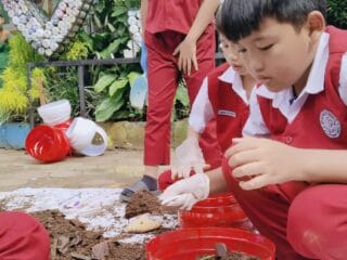 Rayakan Millad ke-20, SDIT Irsyadul 'Ibad Pandeglang Tanam 200 Bibit Cabai