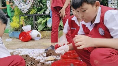 SDIT Irsyadul ‘Ibad Pandeglang ajak 686 siswa menanam 200 bibit cabai, menanamkan cinta lingkungan sejak usia dini.