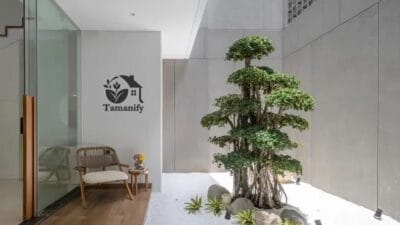 Temukan perbedaan pohon taman dan bonsai untuk hunian modern. Pilihan tepat bantu ciptakan taman indah, segar, dan mudah dirawat.