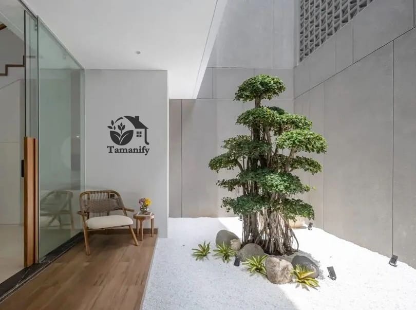Temukan perbedaan pohon taman dan bonsai untuk hunian modern. Pilihan tepat bantu ciptakan taman indah, segar, dan mudah dirawat.