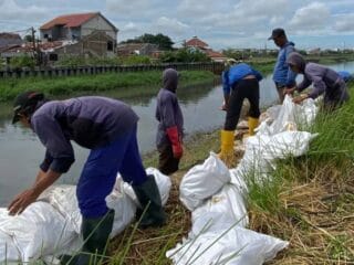 Pemkot Tangerang memperkuat mitigasi banjir dengan peremajaan ribuan kisdam di Kali Ledug Periuk jelang puncak musim hujan.