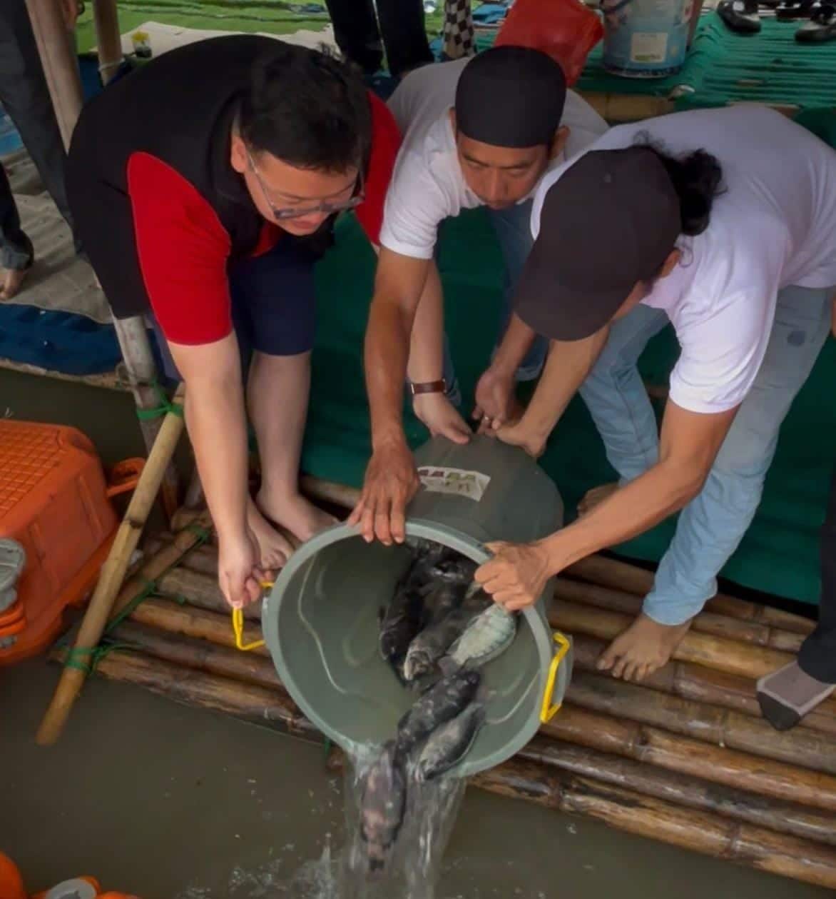 Abraham Garuda menebar 79 kg ikan di Danau Kelapa Dua saat HUT ke-79 Megawati sebagai simbol ketahanan pangan rakyat.