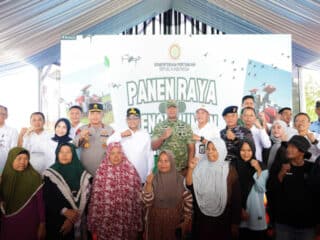 Panen Raya 2025, Pemprov Banten Laporkan Kenaikan Produksi Padi dan Luas Panen
