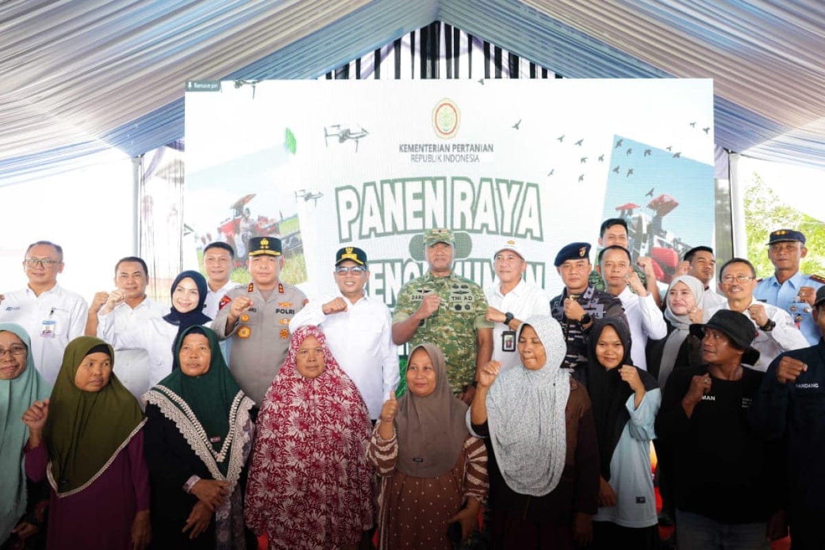 Produksi padi Banten 2025 naik 16,84 persen seiring perluasan lahan panen dan dukungan kebijakan pemerintah pusat.