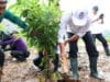 Bupati Tangerang menanam bambu di RTH Cisoka sebagai awal pengembangan ruang hijau berbasis identitas daerah dan ekonomi kreatif.