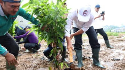 Bupati Tangerang menanam bambu di RTH Cisoka sebagai awal pengembangan ruang hijau berbasis identitas daerah dan ekonomi kreatif.