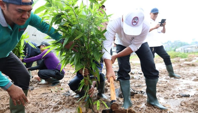 Bupati Tangerang menanam bambu di RTH Cisoka sebagai awal pengembangan ruang hijau berbasis identitas daerah dan ekonomi kreatif.