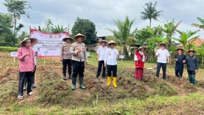 Polsek Tigaraksa dan BUMDes Desa Pete tanam jagung hibrida di lahan 2 hektare, dukung Program Ketahanan Pangan Nasional.