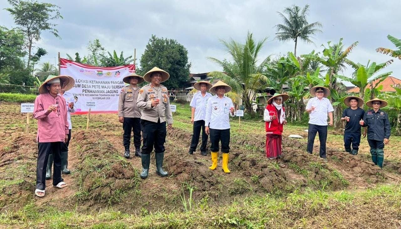 Polsek Tigaraksa dan BUMDes Desa Pete tanam jagung hibrida di lahan 2 hektare, dukung Program Ketahanan Pangan Nasional.